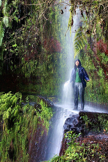Madeira Walk - by Virgilio Silva Madeira Walk - by Virgilio Silva
