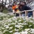 Madeira Walks: Photo Raid Tour by Nature Meetings