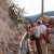 Madeira Walks - Levada Nova / Linda Wonderland by Nature Meetings
