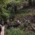 Madeira Walks - Levada Nova / Linda Wonderland by Nature Meetings