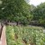 Madeira Walks - Levada Nova / Linda Wonderland by Nature Meetings