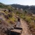 Madeira Walks - Levada Nova / Linda Wonderland by Nature Meetings