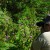 Madeira Walks: Photo Raid Tour by Nature Meetings