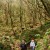 Madeira Walks - Queimadas - Caldeirao Verde