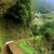 Madeira Walks: Levada do Castelejo / Amazing Vistas