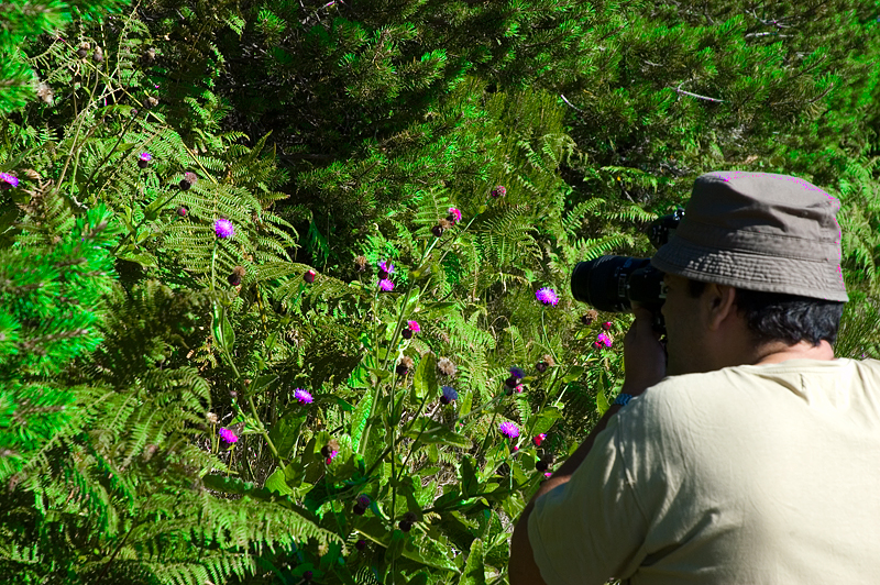 Madeira Photography Raid