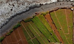 Madeira Photo Tour - Terraced Agriculture