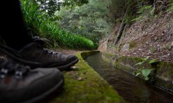 Madeira Levada Walks Official by Francisco Correia