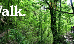 Madeira Levada Walks by Nature Meetings